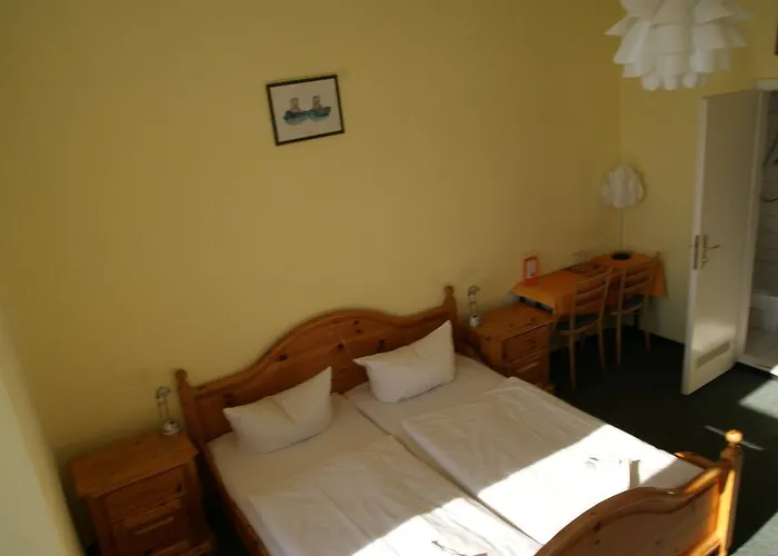 Happy Go Lucky + Auberge de jeunesse