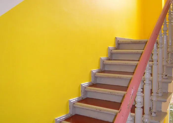 بيت شباب Happy Go Lucky +