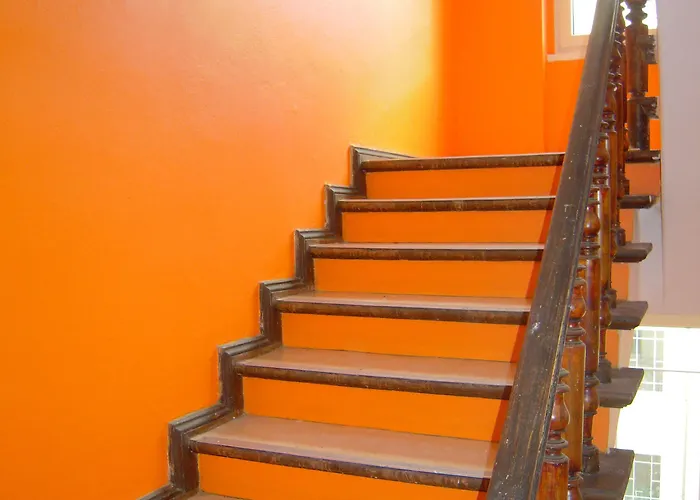 بيت شباب Happy Go Lucky +